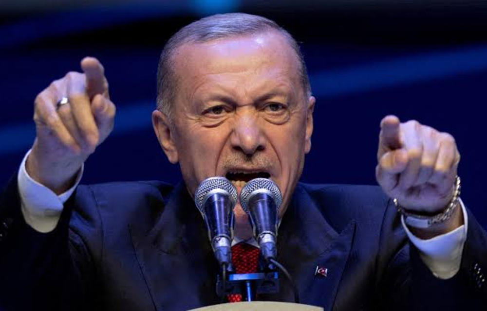 Erdogan Backs Hamas as Israel Faces Criticism