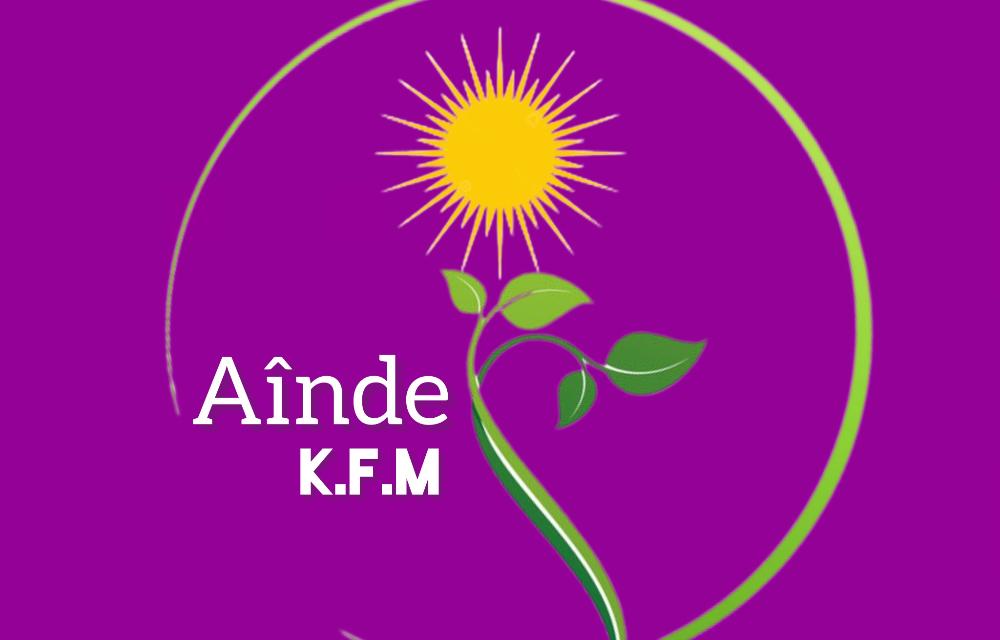 Kurdistan Future Movement