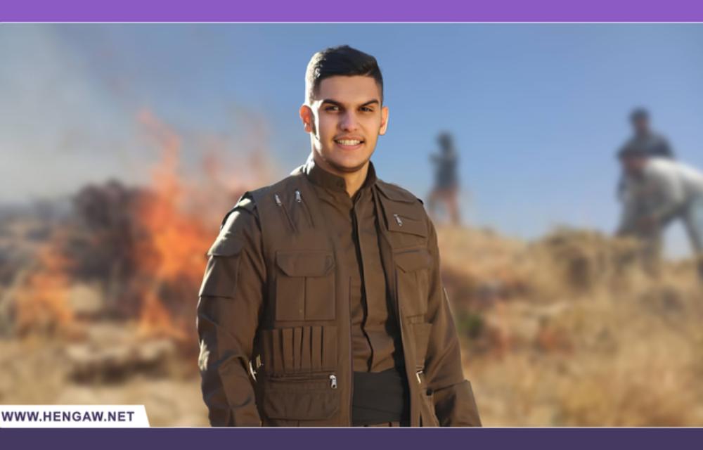 سێ چالاکوانی ژینگەیی  خه‌ڵکی سنە بەهۆی ئاگرەکەی ئاویەرەوە گیانیان لەدەستدا