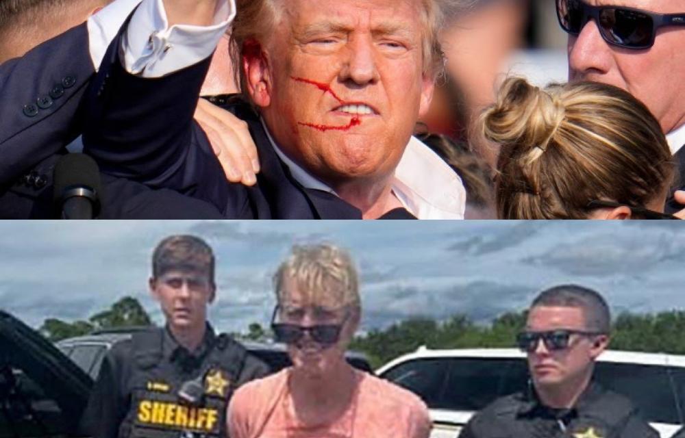 ڕایان ڕۆت بە تۆمەتی هەوڵدان بۆ تیرۆرکردنی دۆناڵد ترەمپ، سەرۆکی ئەمریکا سزای زیندانی هەتاهەتایی بەسەردا سەپێندرا